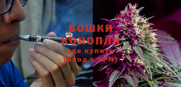экстази Бородино