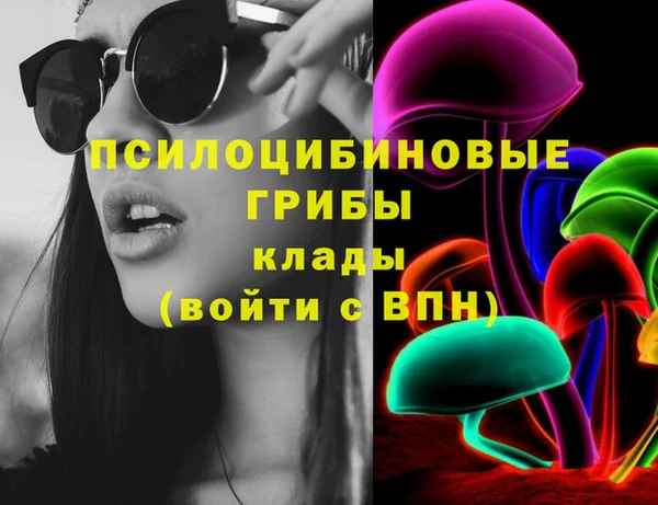крисы Бугульма