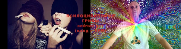 ПСИЛОЦИБИНОВЫЕ ГРИБЫ Бронницы