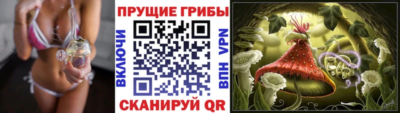 kraken маркетплейс  наркошоп  Верхоянск  Псилоцибиновые грибы мухоморы 